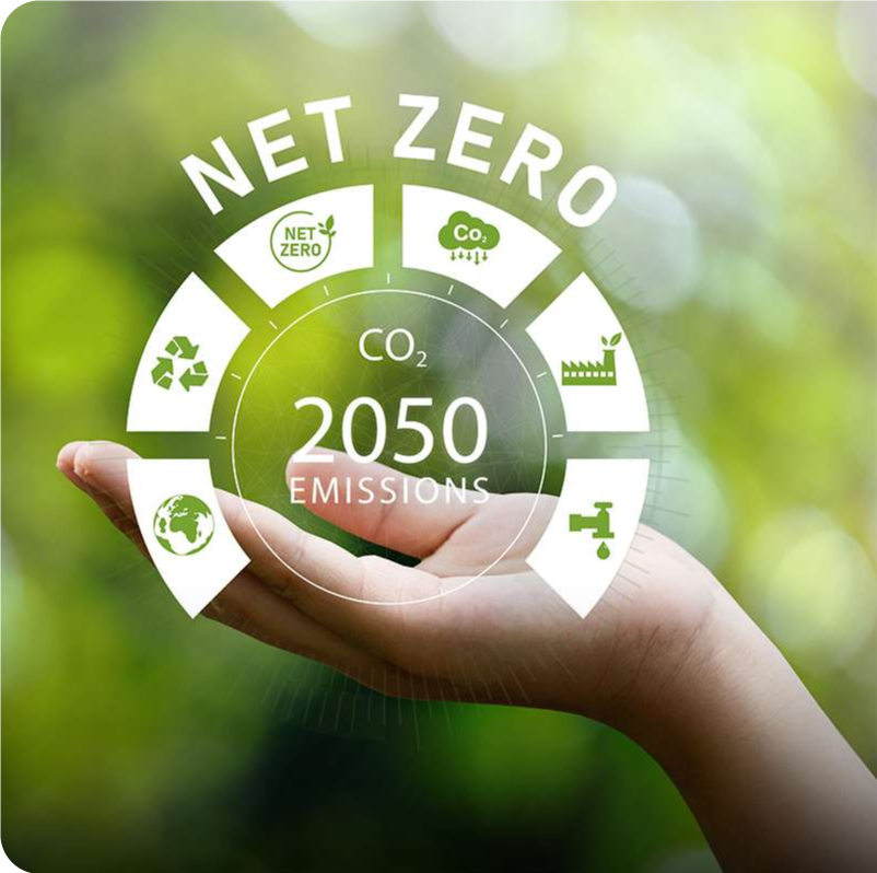 Netzero